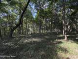 281 Lady Bug Ln - Photo 11