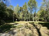 2346 Sulphur Lick Rd - Photo 11