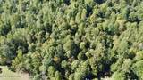 2346 Sulphur Lick Rd - Photo 23