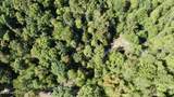 2346 Sulphur Lick Rd - Photo 24