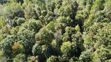 2346 Sulphur Lick Rd - Photo 32