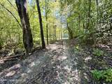 2346 Sulphur Lick Rd - Photo 35