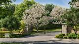 4503 Poplar Manor Rd - Photo 12