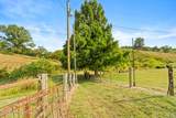 835 Cat Walk Rd - Photo 40