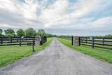 411 Paddock Ln - Photo 2