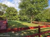 4534 Lake Dreamland Dr - Photo 4