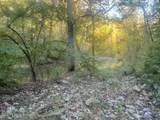 1711 Long Branch Fork Rd - Photo 107
