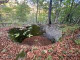 1711 Long Branch Fork Rd - Photo 108