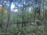 1711 Long Branch Fork Rd - Photo 109