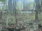 1711 Long Branch Fork Rd - Photo 110