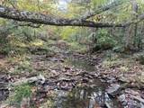 1711 Long Branch Fork Rd - Photo 113
