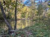 1711 Long Branch Fork Rd - Photo 114