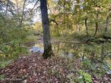 1711 Long Branch Fork Rd - Photo 115