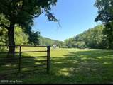 1711 Long Branch Fork Rd - Photo 89