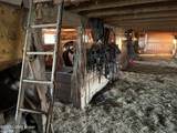 2213 Murrieltown Rd - Photo 37