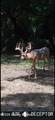 13091 Seaville Rd - Photo 37