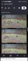 13091 Seaville Rd - Photo 38