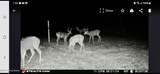 13091 Seaville Rd - Photo 39