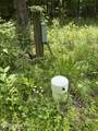1012 Hardin Mill Mattingly Rd - Photo 41