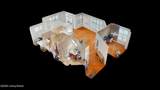 2011 Frankfort Ave - Photo 34