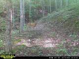 0 522 Hwy - Photo 23