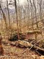 0 522 Hwy - Photo 43