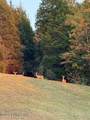 11407 Bardstown Creek Rd - Photo 4