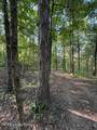 11407 Bardstown Creek Rd - Photo 46