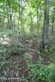 11407 Bardstown Creek Rd - Photo 47