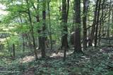 11407 Bardstown Creek Rd - Photo 48