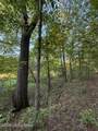 11407 Bardstown Creek Rd - Photo 54