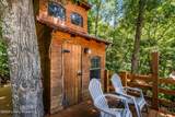 1779 Long Branch Fork Rd - Photo 68