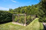 1779 Long Branch Fork Rd - Photo 82