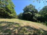 1779 Long Branch Fork Rd - Photo 89
