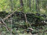 1779 Long Branch Fork Rd - Photo 96