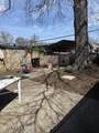 3851 5th St - Photo 31
