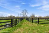 1219 Taylor Wood Rd - Photo 79