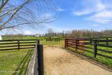 1219 Taylor Wood Rd - Photo 83