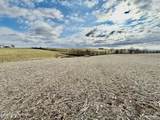 1656-2 Old Perryville Loop - Photo 1