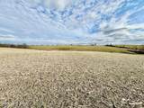 1656-2 Old Perryville Loop - Photo 4