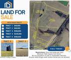 1656-4 Old Perryville Loop - Photo 4