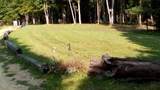 1310 Fox Cliff Rd - Photo 3