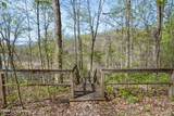 208 Brinkleys Lake Access Rd - Photo 67