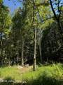 Lot 13 Rose Island Rd - Photo 2