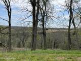 1568 Bray Ridge Rd - Photo 28