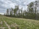 1568 Bray Ridge Rd - Photo 41