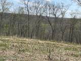 1568 Bray Ridge Rd - Photo 43