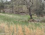 1568 Bray Ridge Rd - Photo 57