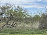 1568 Bray Ridge Rd - Photo 66