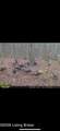 0 Wheeler Rd - Photo 10